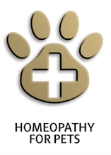 Homeopathy Course for Pets