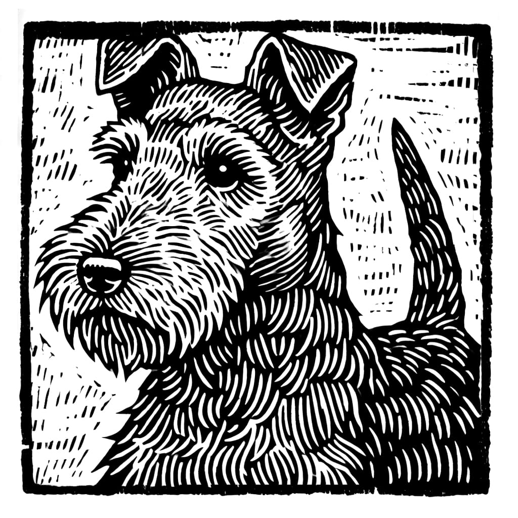 Fear of Dogs