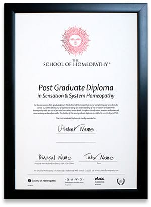 Sensation Certificate