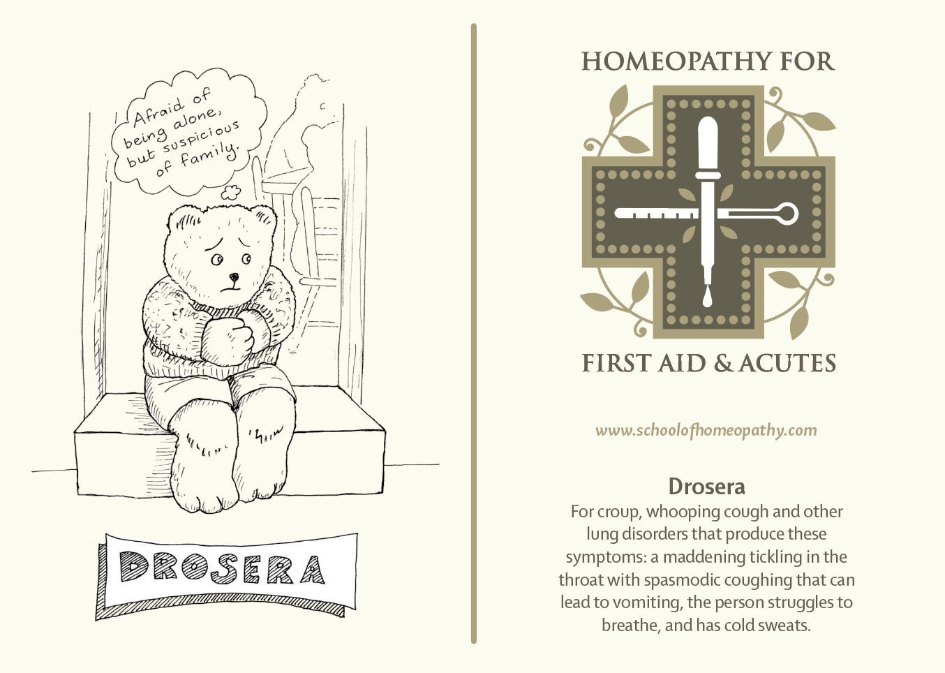 Homeopathy for First Aid & Acutes - Arnica