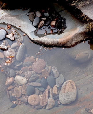 Pebble puddle