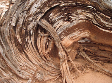 Wood Swirl