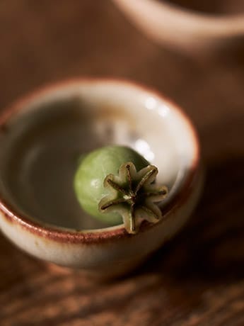 Collection Dishes & Flowers - Green Seed Head