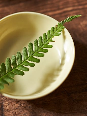 Collection Dishes & Flowers - Leaf