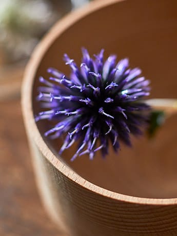 Collection Dishes & Flowers - Purple Flower