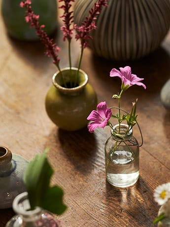 Collection Vases & Flowers - Pink & Clear