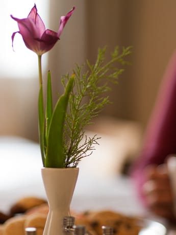 Flower in vase