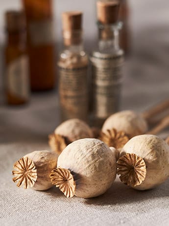 Remedy Bottles & Pestle - Seed Heads