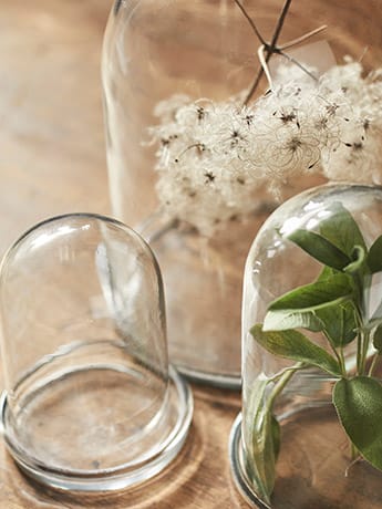 Specimen Jars 1