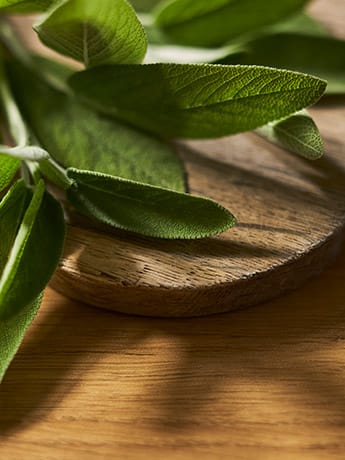 Tincture Bottle Rack - Leaves