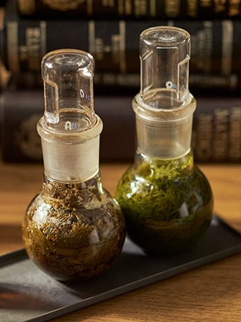 Tinctures & Books - Clear Bottles