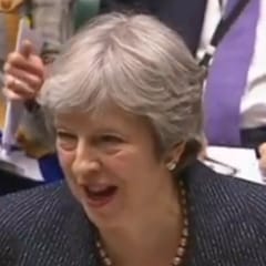Homeopathy discussed by the UK Prime Minister Theresa May
